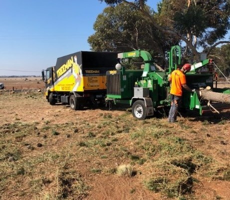  Profile Photos of Tree Removal Melbourne - Treeman Melbourne 67 Willow Rd - Photo 1 of 1