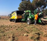 Tree Removal Melbourne - Treeman Melbourne, Frankston