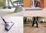  Carpet Cleaning Edithvale 1 