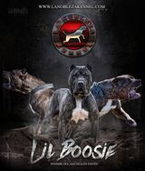  La Nobleza Kennel 5453 Will Wheeler Rd 