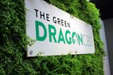  The Green Dragon CBD 14856 Clayton Rd 