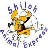 Shiloh Animal Express Pet Relocation, Singapore
