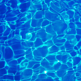 Martin Pools and Fence, Niota