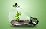 The Resiliency Solution, Chapel Hill