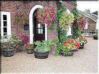  Profile Photos of The Tuns at Staple House The Street, Staple - Photo 6 of 11