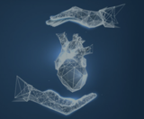 Longoria Cardiovascular, Sacramento