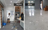 Green Carpet Cleanup, New York