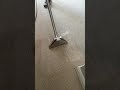 Green Carpet Cleanup, New York
