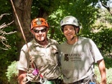 Arbortec Tree Service, Broomfield