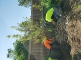 Arbortec Tree Service, Broomfield