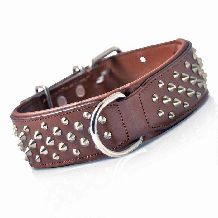  Products of Rogue Royalty- Dog Accessories Store Unit 1, 49 Blaxland Road - Photo 1 of 7