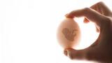  Egg Donation Agency 445 S Figueroa St #3104 