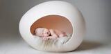 Egg Donation Agency, Los Angeles