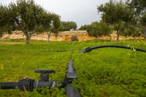 We Can Provide Commercial Septic Systems for your Brandon, Plant City, Seffner, or East Tampa, FL Business. New Album of Brandon Septic - - Photo 1 of 5 We Can Provide Commercial Septic Systems for your Brandon, Plant City, Seffner, or East Tampa, FL Business. New Album of Brandon Septic - - Photo 1 of 5