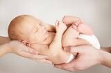 Los Angeles Egg Donation Center, Los Angeles