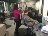  Salon Stephan 5200 Bissonnet St, #B 