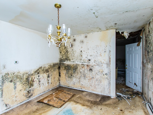  New Album of EZ Flood Restoration USA 10320 Camino Santa Fe Unit E - Photo 1 of 3