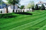 Alex's Lawn & Turf, Roseville