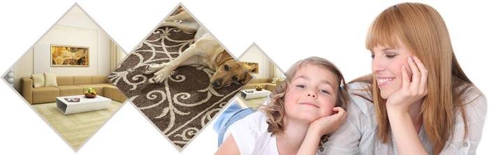 New Album of Apex Carpet Cleaning And Flood Restoration 3616 W Thomas Rd #1 - Photo 3 of 3