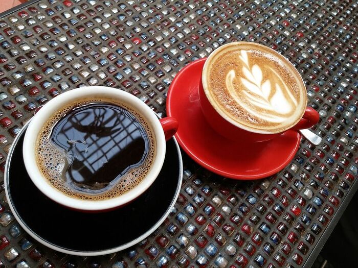  New Album of Lone Cone Coffee 17789 6353 Rd - Photo 3 of 5