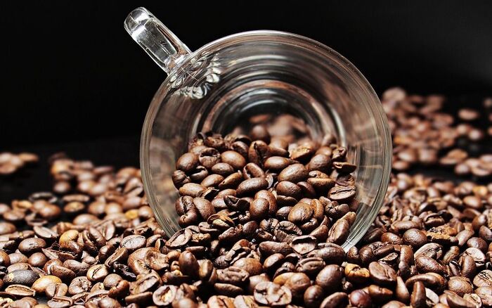  New Album of Lone Cone Coffee 17789 6353 Rd - Photo 4 of 5