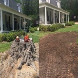 Milwaukee Stump Grinding & Removal, Milwaukee