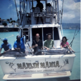  jamaica charter boats Falmouth The Jamaican Coast,Montego Bay Luminous Lagoon Jamaica 