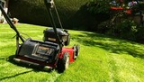 Marc's Lawn Care Service & Landscaping, The Bronx
