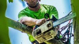 Marc's Lawn Care Service & Landscaping, The Bronx