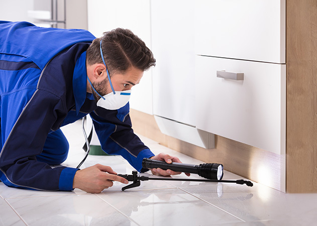  Profile Photos of Pest Control Service Group 1 Haledene, Hale Lane, Edgware HA8 9RY - Photo 1 of 1