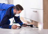 Pest Control Service Group, Edgware
