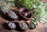  Dr. Sandhar Homeopathy Clinic 10436 81 Ave, #101 
