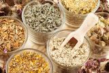  Dr. Sandhar Homeopathy Clinic 10436 81 Ave, #101 