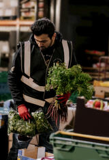  County Supplies Unit C16-20 New Covent Garden Market 