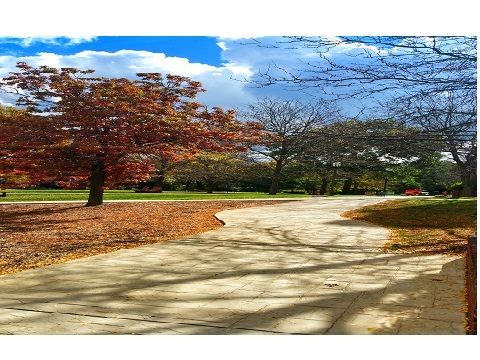  Profile Photos of Chatham University 1 Woodland Road - Photo 3 of 4