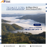  A&F Tour Travel 1032/1-5, RAMA 4 Road , KRITS Building Tungmahamek , Sathorn Bangkok 10120, Thailand 