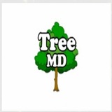 Tree MD, Orange