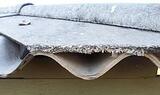  Sos asbestos removal 100 Flushing Meadow Park 