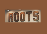 Roots Salon and Wellness, Cary