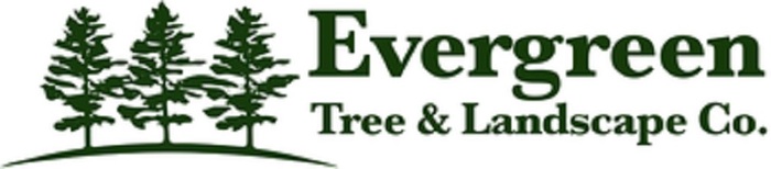  Profile Photos of Evergreen Tree & Landscaping Company 3 3rd  Street - Photo 4 of 4