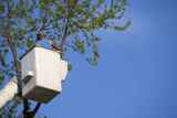 Evergreen Tree & Landscaping Company 3 3rd  Street 