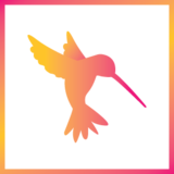 Arcadian Digital, Marnhull