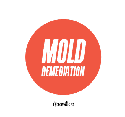  Profile Photos of Greenville Mold Pros - Mold Removal Greenville SC 1068 N Church St - Photo 1 of 1