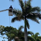  Insight Environmental Solutions 169 Ponce De Leon St. 