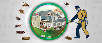  New Album of Pest Control Safety Beach 1 - Photo 2 of 2