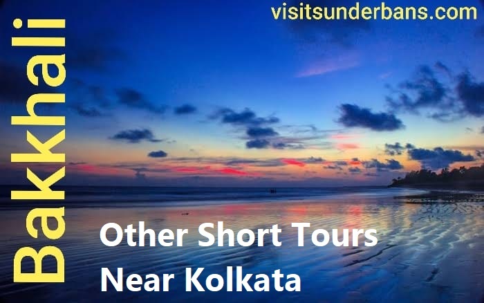  New Album of sundarban-with-bakkhali-beach 56/2D BR Road - Photo 2 of 4