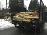 Fort Collins Junk Removal, Fort Collins