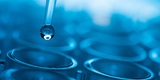 Well-Water Testing, Progressive Water Solutions LLC, Durham