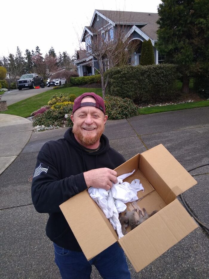  Profile Photos of US Wildlife Removal 3511 253rd Street Ct E - Photo 1 of 2