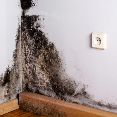  Profile Photos of Mold Remediation Baton Rouge 2798 O'Neal Ln - Photo 3 of 3
